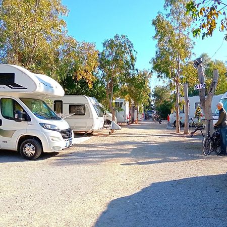 Camping La Naranja Hotell Gandía Eksteriør bilde