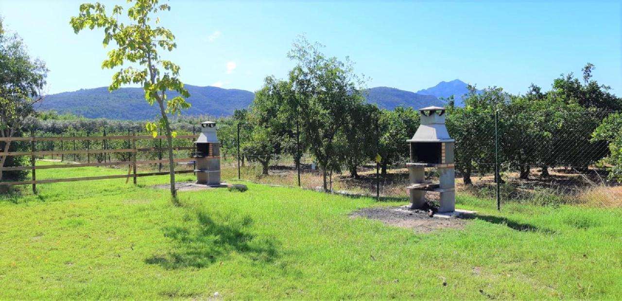 Camping La Naranja Hotell Gandía Eksteriør bilde