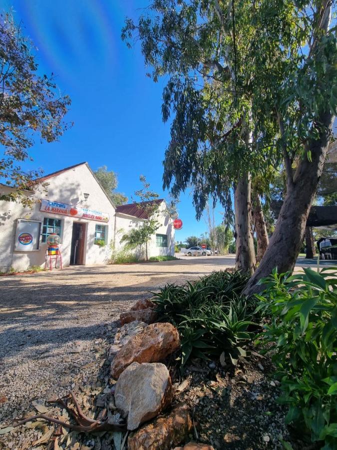 Camping La Naranja Hotell Gandía Eksteriør bilde