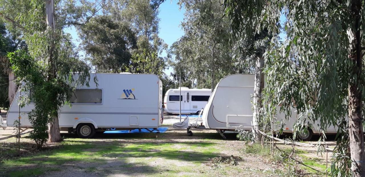 Camping La Naranja Hotell Gandía Eksteriør bilde