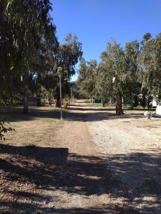 Camping La Naranja Hotell Gandía Eksteriør bilde