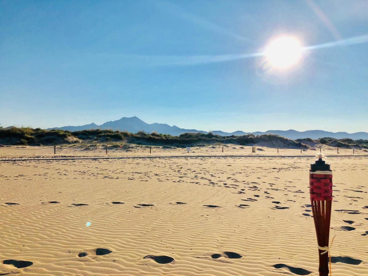 Camping La Naranja Hotell Gandía Eksteriør bilde