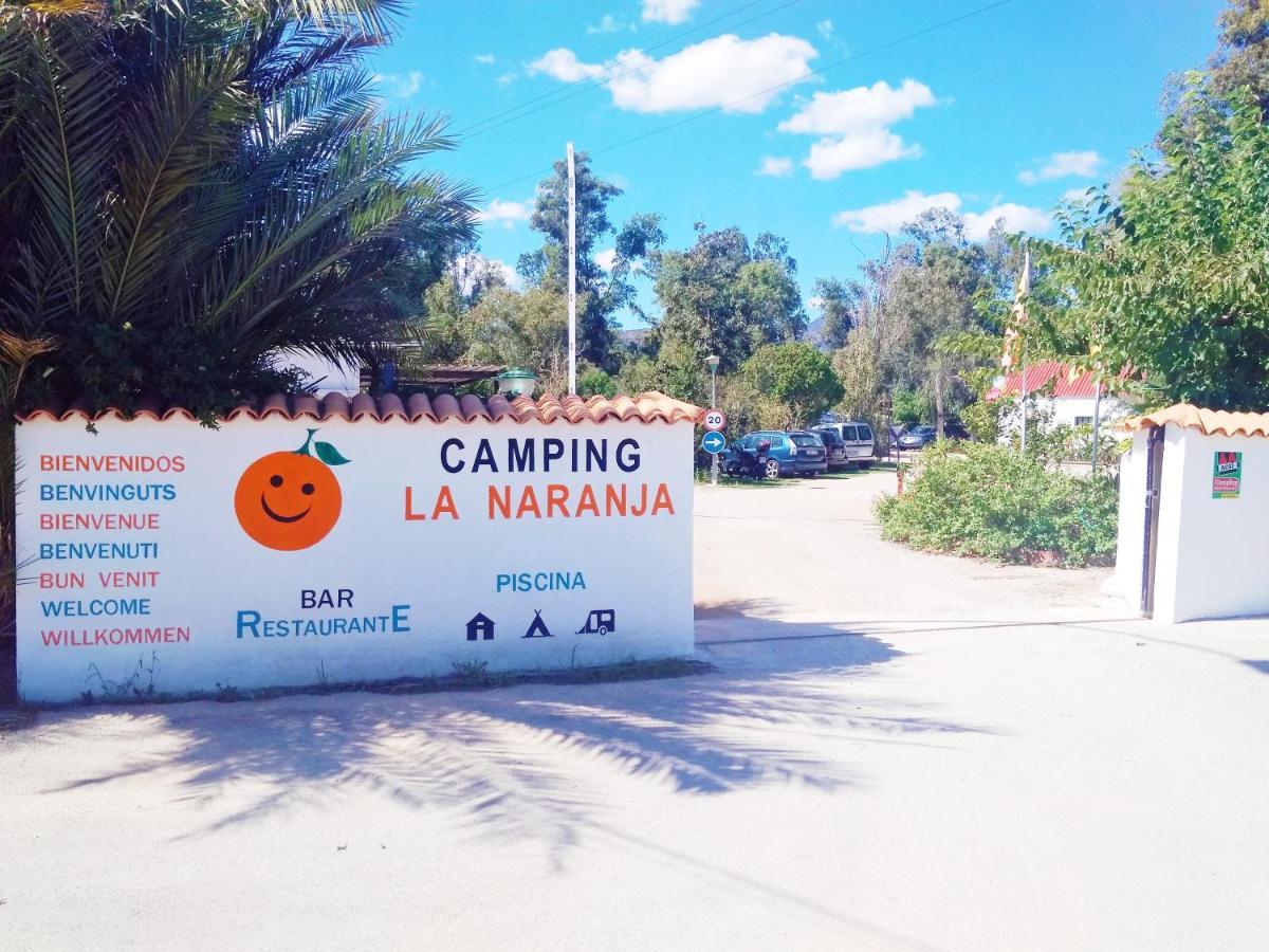 Camping La Naranja Hotell Gandía Eksteriør bilde