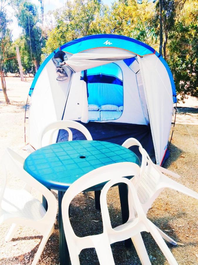Camping La Naranja Hotell Gandía Eksteriør bilde