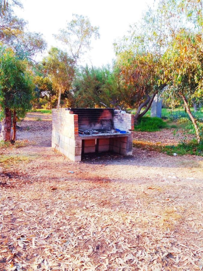 Camping La Naranja Hotell Gandía Eksteriør bilde